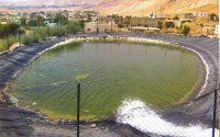 انتشال جثة شاب من داخل بركة بالأغوار