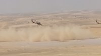 اختتام فعاليات تمرين الأسد المتأهب 2022