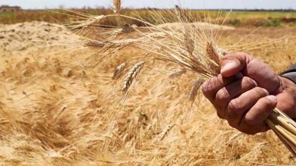 اجتماع رباعي لوزراء الزراعة العرب في العاصمة عمان