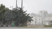 الطفيلة تسجل أعلى مجموع مطري خلال الحالة الجوية الأخيرة