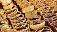 استقرار أسعار الذهب في السوق المحلية