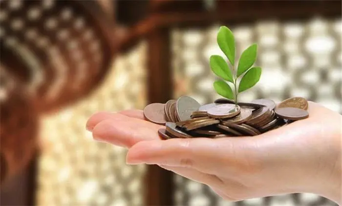 الإفتاء توضح حول زكاة اموال الديون والمقتنيات