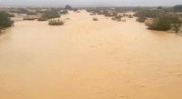 فقدان شخصين في وادي عربة جنوب فلسطين جراء السيول الجارفة