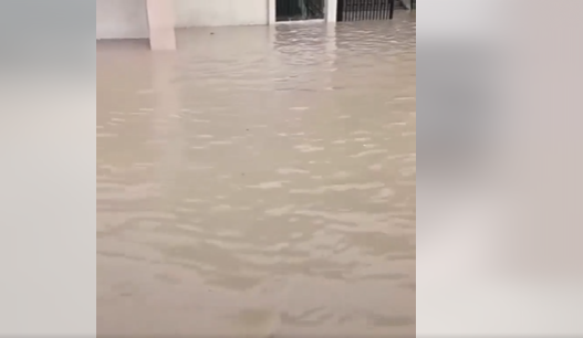 مياه الأمطار تحاصر طلبة ومعلمين بمدرسة في عمان- فيديو