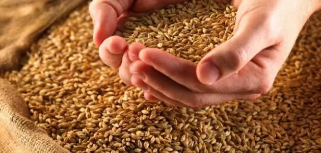 الإفتاء توضح حول تأخير زكاة الفطر