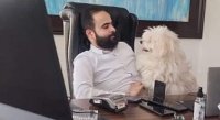 رجل أعمال أردني يرصد 50 ألف دينار لمن يعثر على كلبه المفقود