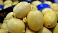 ما قصة شحنة الليمون المصري داخل سوق عمان المركزي؟