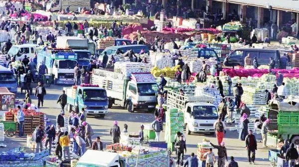 تعرَّف على ساعات دوام المسالخ والسوق المركزي خلال عطلة عيد الفطر