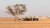 الأردن في المرتبة قبل الأخيرة عالميا في مؤشر مدركات المناخ 2022