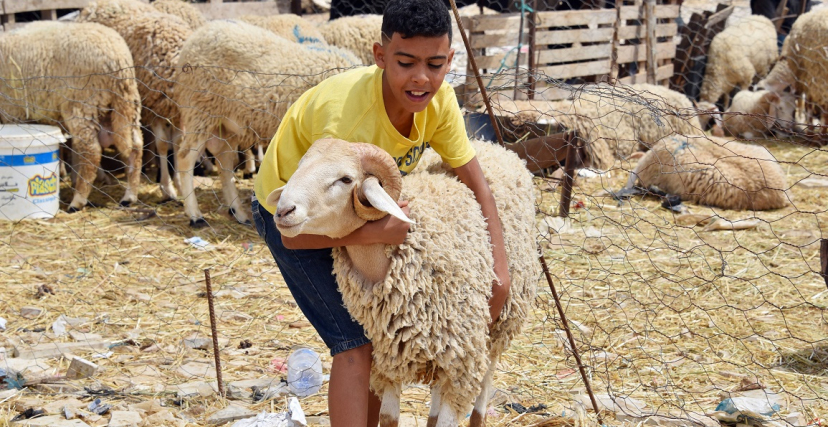 تعرف على موعد عيد الأضحى لعام 2023؟