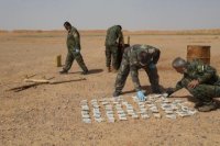 "جيش سوريا الحرة" يضبط شحنة كبتاغون في طريقها إلى الأردن