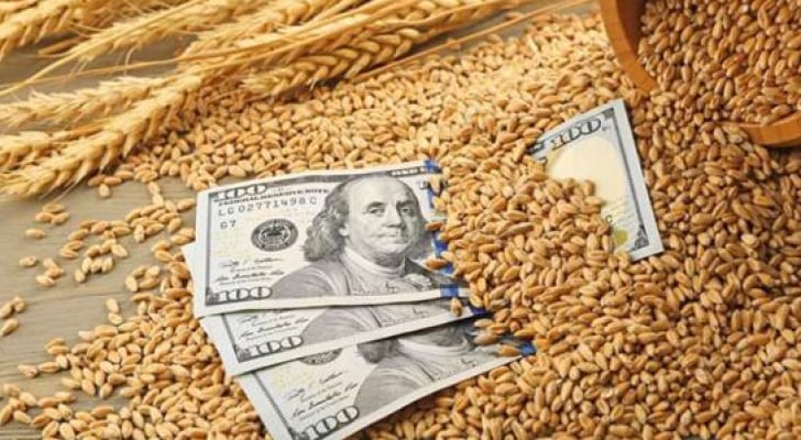 ارتفاع سعر القمح لأعلى مستوياته عالميا