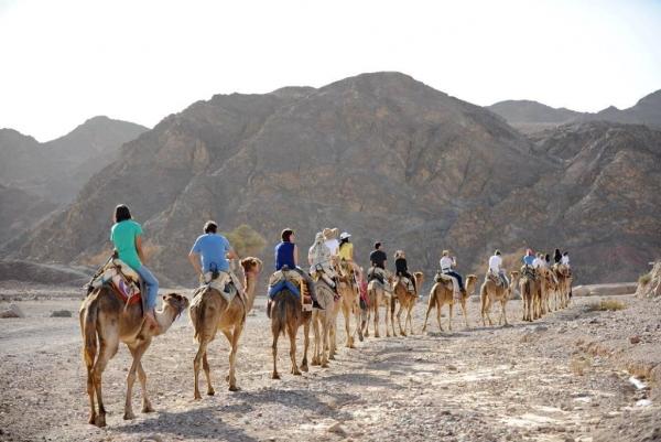 إقبال ملحوظ على السياحة الزراعية في الأردن