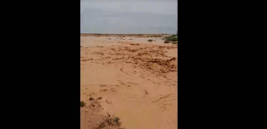 لن تصدق ما سترى.. سيول الأزرق