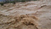 سلطة وادي الأردن تعلن الطوارئ المتوسطة وتدعو للابتعاد عن السيول
