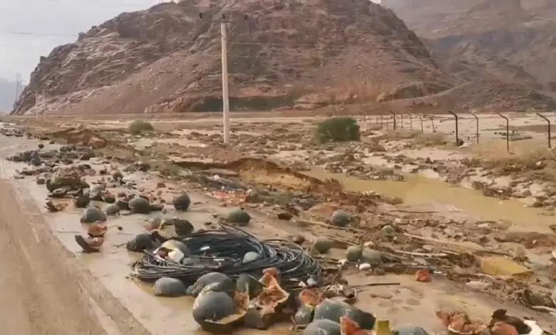 إيعاز حكومي بتعويض المزارعين المتضررين جراء الأمطار الأخيرة