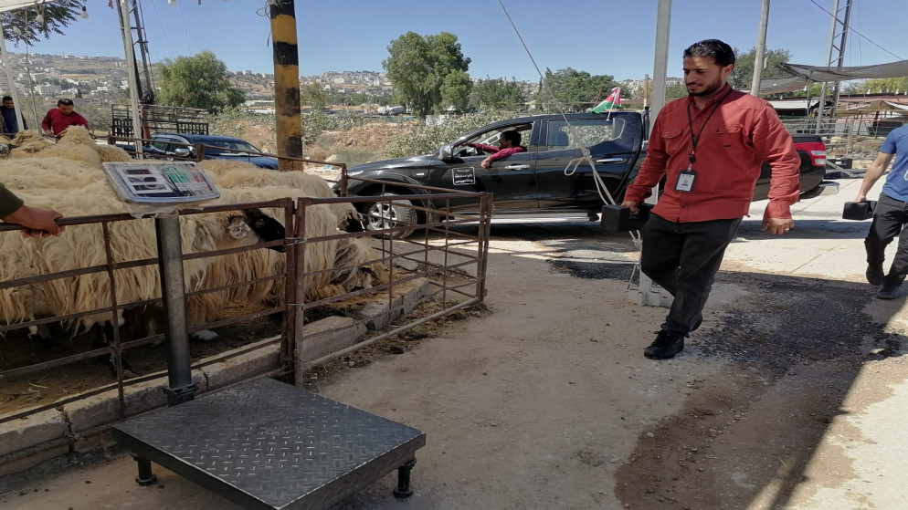المواصفات والمقاييس تشدد الرقابة على موازين الأضاحي خلال عطلة العيد