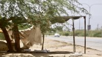 أجواء صيفية معتدلة الحرارة في المرتفعات الجبلية والسهول الثلاثاء
