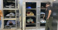 تعطل ثلاجات الموتى .. نقل جثامين شهداء جنين إلى قباطية بسبب قطع الكهرباء من قبل الاحتلال عن جنين