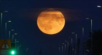 شاهد ظهور البدر العملاق الأول لهذا العام يثير إعجاب مراقبي السماء