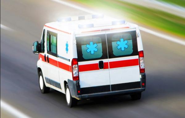 عقرب يباغت أب وابنه داخل الفراش في الطفيلة .. والطفل ينجو باعجوبة