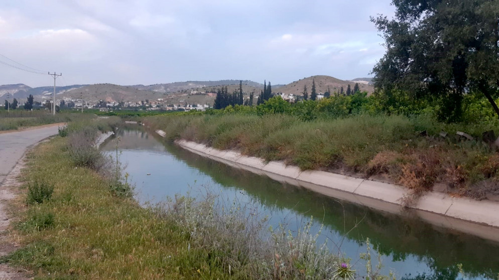 مديرية زراعة الأغوار الشمالية تدعو لتنظيم ري المزروعات لمواجهة الحر