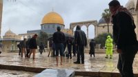 الخلايلة: موظفو المسجد الأقصى يتعرضون دائما للابعاد والاعتقال والضرب