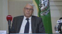جامعة الدول العربية تؤكد ضرورة العمل على إنصاف المحتوى الداعم للقضية الفلسطينية
