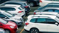 نسبة المركبات الكهربائية تتصدر بـ47.1% من إجمالي التخليص في المنطقة الحرة الزرقاء
