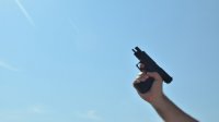 إطلاق وثيقة إلكترونية لضبط إطلاق العيارات النارية في المناسبات