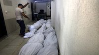 الأردن وتركيا يؤكدان ضرورة وقف التصعيد والعنف في الأراضي الفلسطينية