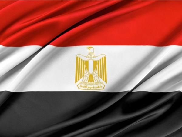 مصر ترسل قافلة مساعدات إنسانية لدعم أهالي ‏غزة