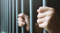 سجن 3 أشخاص 10 سنوات هدَّدوا سائقا بإيذاء ابنته وانتزعوا كليته وباعوها