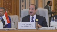 الرئيس المصري يطالب بإجراء تحقيق دولي بما ارتكبه الاحتلال الإسرائيلي في غزة