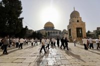 الخلايلة: الاحتلال يفرض حصارا مطبقا على المسجد الأقصى