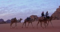 "وكلاء السياحة": 70% نسبة إلغاء حجوزات الرحلات إلى الأردن
