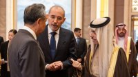 وزير الخارجية يؤكد ضرورة وقف إسرائيل حربها المستعرة على غزة
