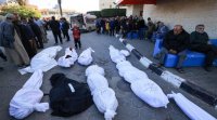 مرايا تنشر تفاصيل اعداد الشهداء في العدوان الصهيوني المتواصل على قطاع غزة لليوم 47 على التوالي (تحديث مستمر)