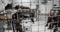 الحركة الفلسطينية الأسيرة: الاحتلال حوّل سجونه لمقابر حديدية قاتلة