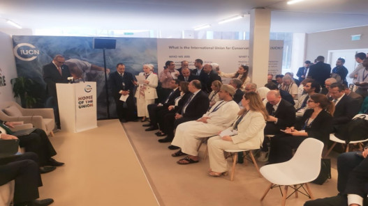 الخصاونة: ما زلنا نمر بلحظة حرجة في الاستجابة للمناخ العالمي