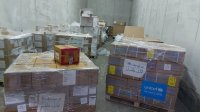 وزيرة الصحة الفلسطينية: بدء دخول مطاعيم الأطفال الروتينية إلى غزة