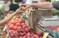 البرماوي: لا اختلالات بسلاسل التوريد وارتفاع أسعار خضار بسبب العروات الزراعية