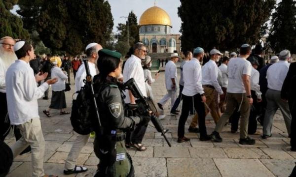 21 اقتحاما للأقصى الشهر الماضي