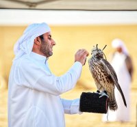 أرقام قياسية تسجل في انطلاق "الشيوخ" لبطولة فزاع للصيد بالصقور