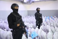شاهد | الأمن العام يتلف كميات كبيرة من المواد المخدرات