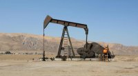 57.969 عدد العاملين في القطاع السياحي بالأردن