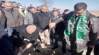 رئيس الديوان الملكي يرعى الاحتفال بيوم الشجرة في القطرانة