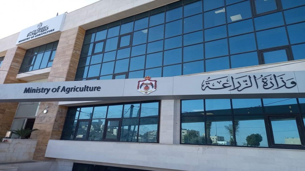 وزارة الزراعة تؤكد خلو الأردن من مرض اللسان الأزرق