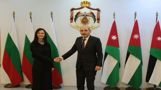 الصفدي: مستمرون بالعمل على الضغط لإدخال المساعدات بشكل كافٍ إلى غزة