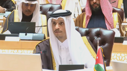 رئيس وزراء قطر: للأردن دور كبير بالحراك الإقليمي والدولي لوقف الحرب الإسرائيلية على غزة